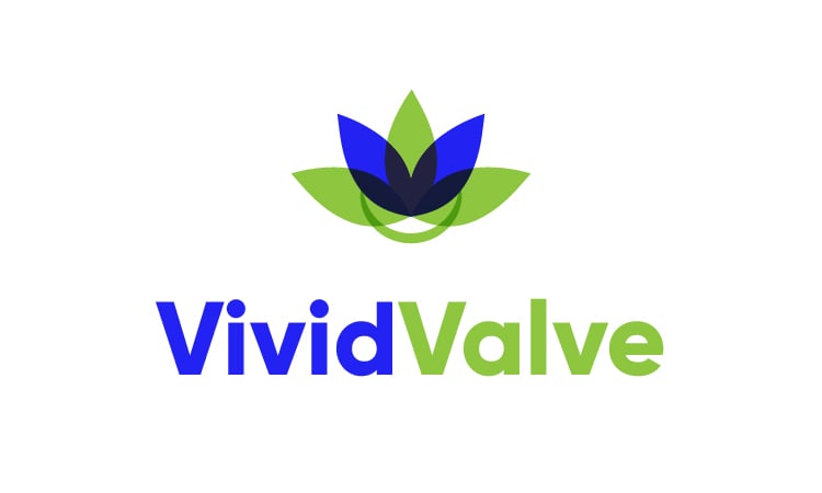 VividValve.com - buy Cool premium domains