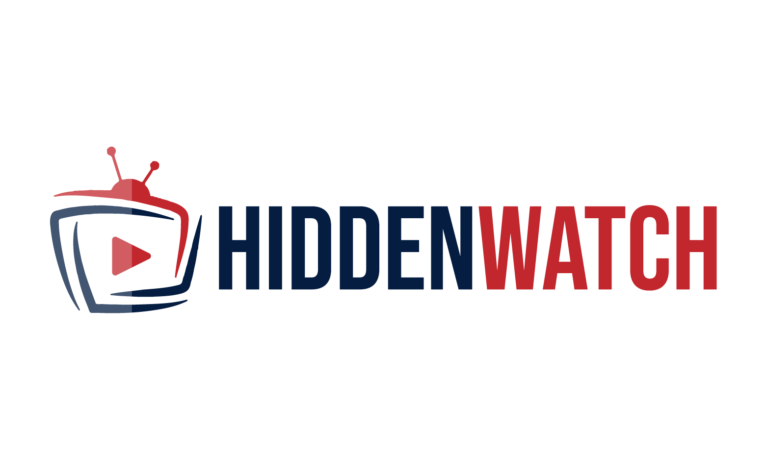 HiddenWatch logo