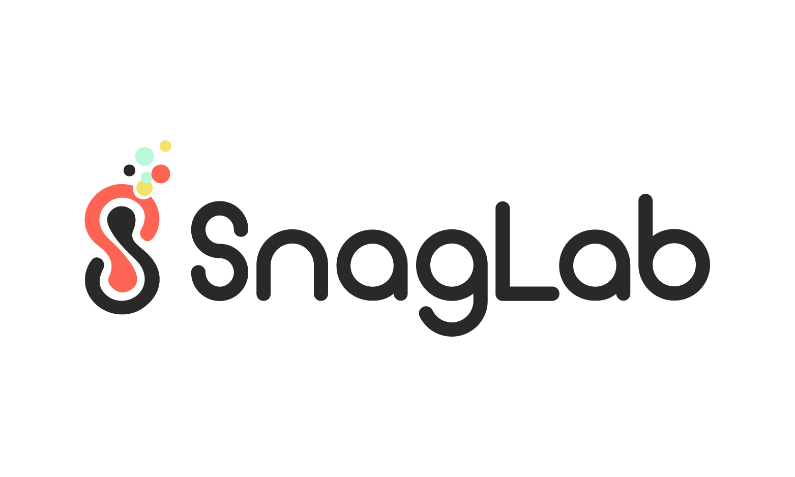 SnagLab logo