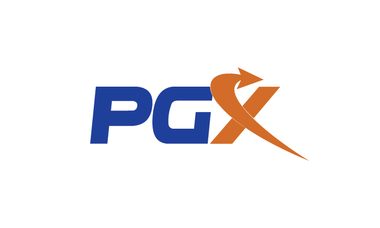 PGX.io - Catchy premium domains