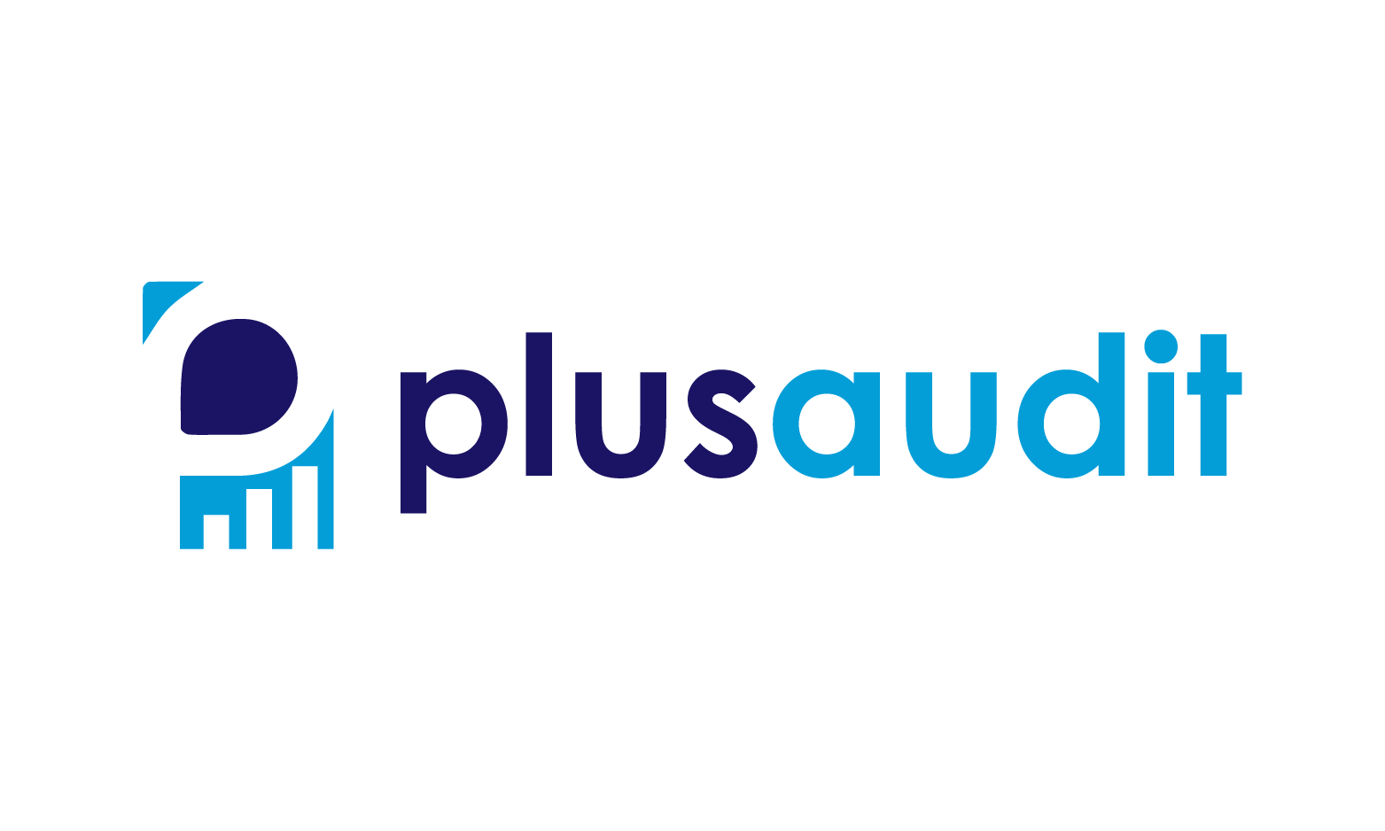 PlusAudit logo