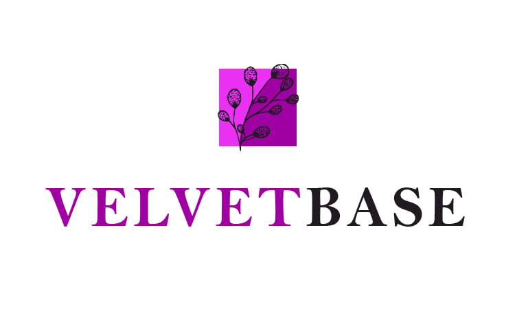 VelvetBase logo