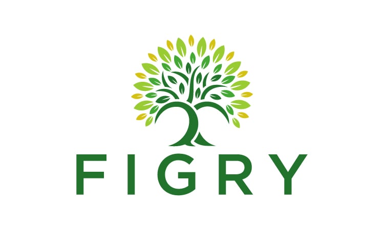 Figry logo