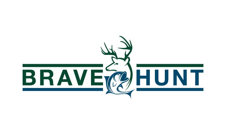BraveHunt.com - Best premium names