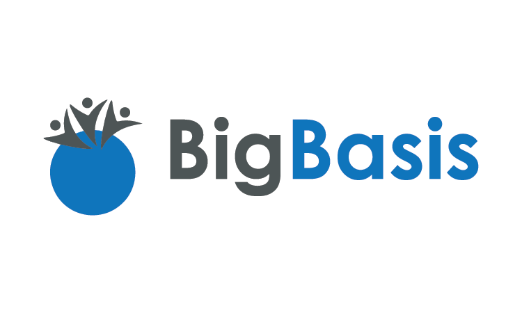 BigBasis logo