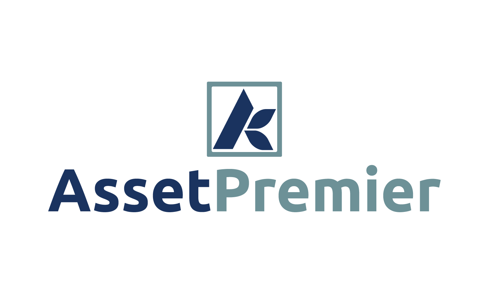 AssetPremier.com - Cool domains for sale