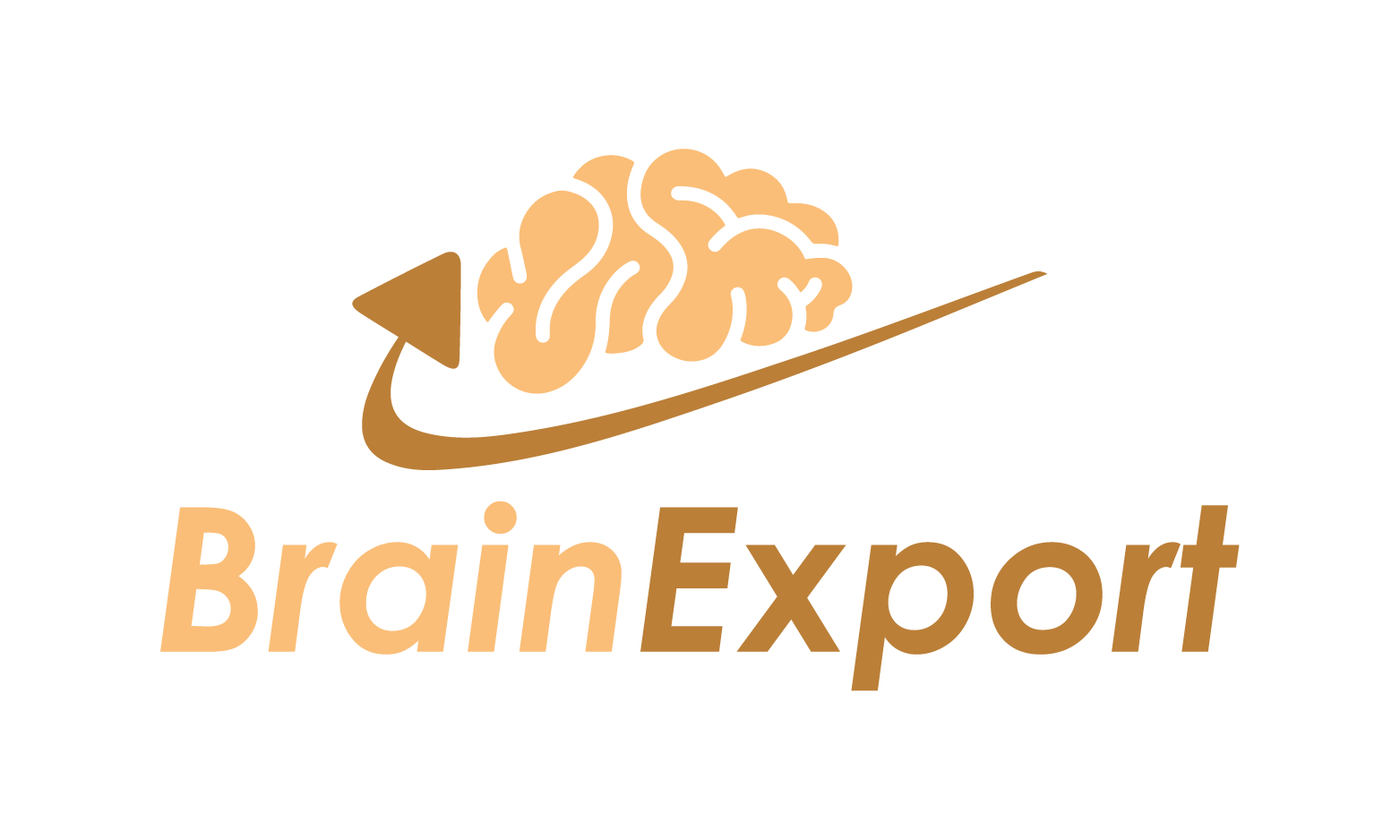 BrainExport.com - Cool premium domain marketplace