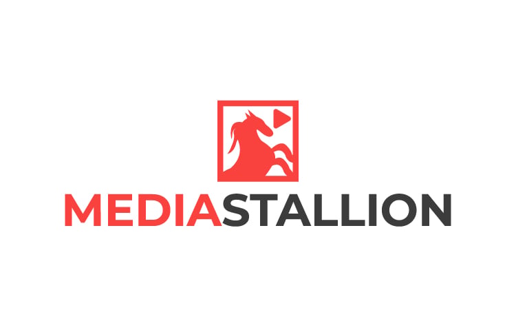 MediaStallion logo
