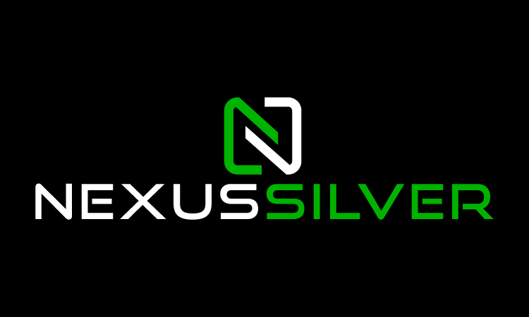 NexusSilver logo