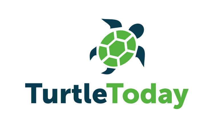TurtleToday.com - buy New premium names