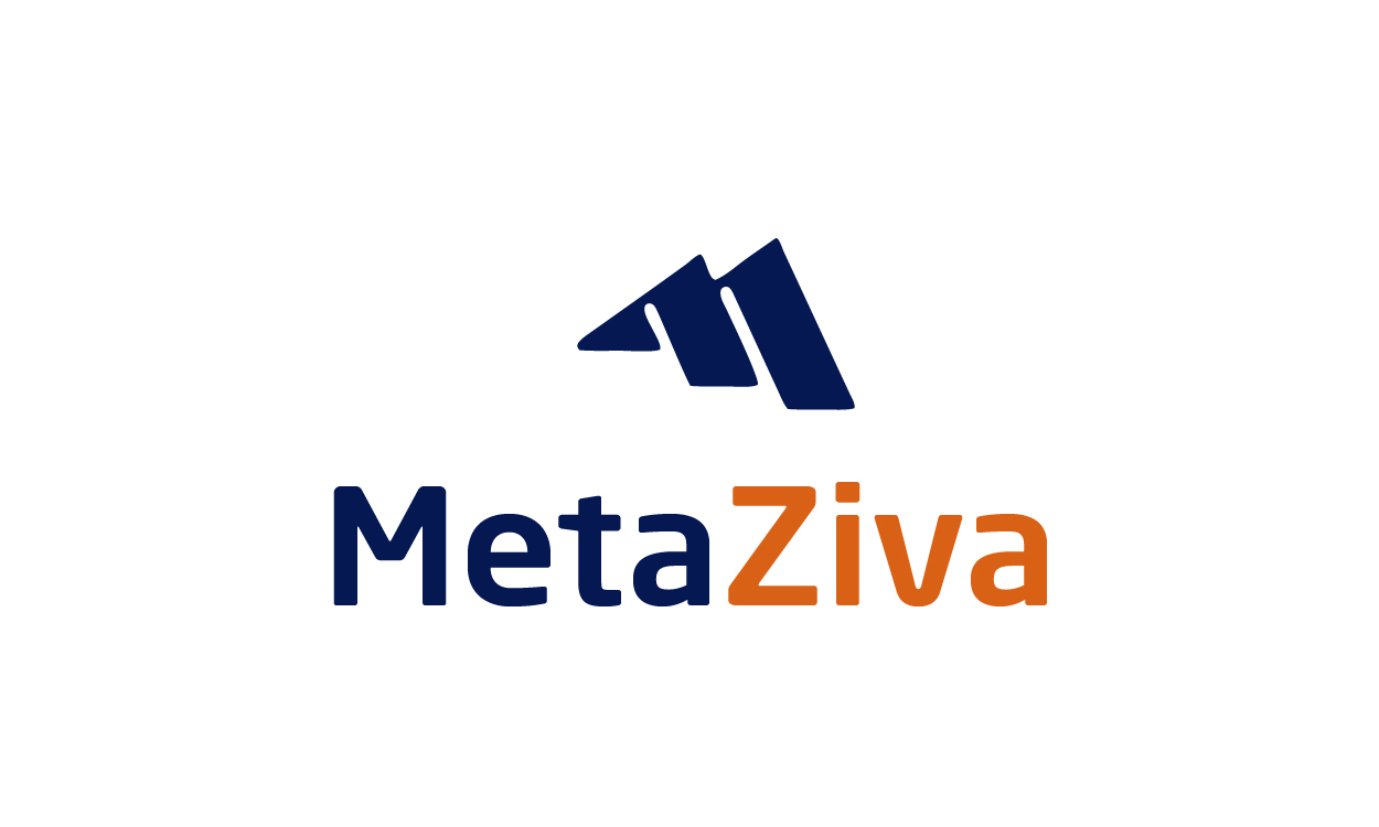 MetaZiva.com - Best premium domain names for sale