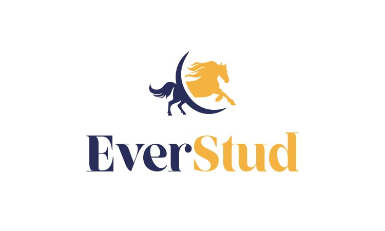 EverStud.com - Cool premium domains