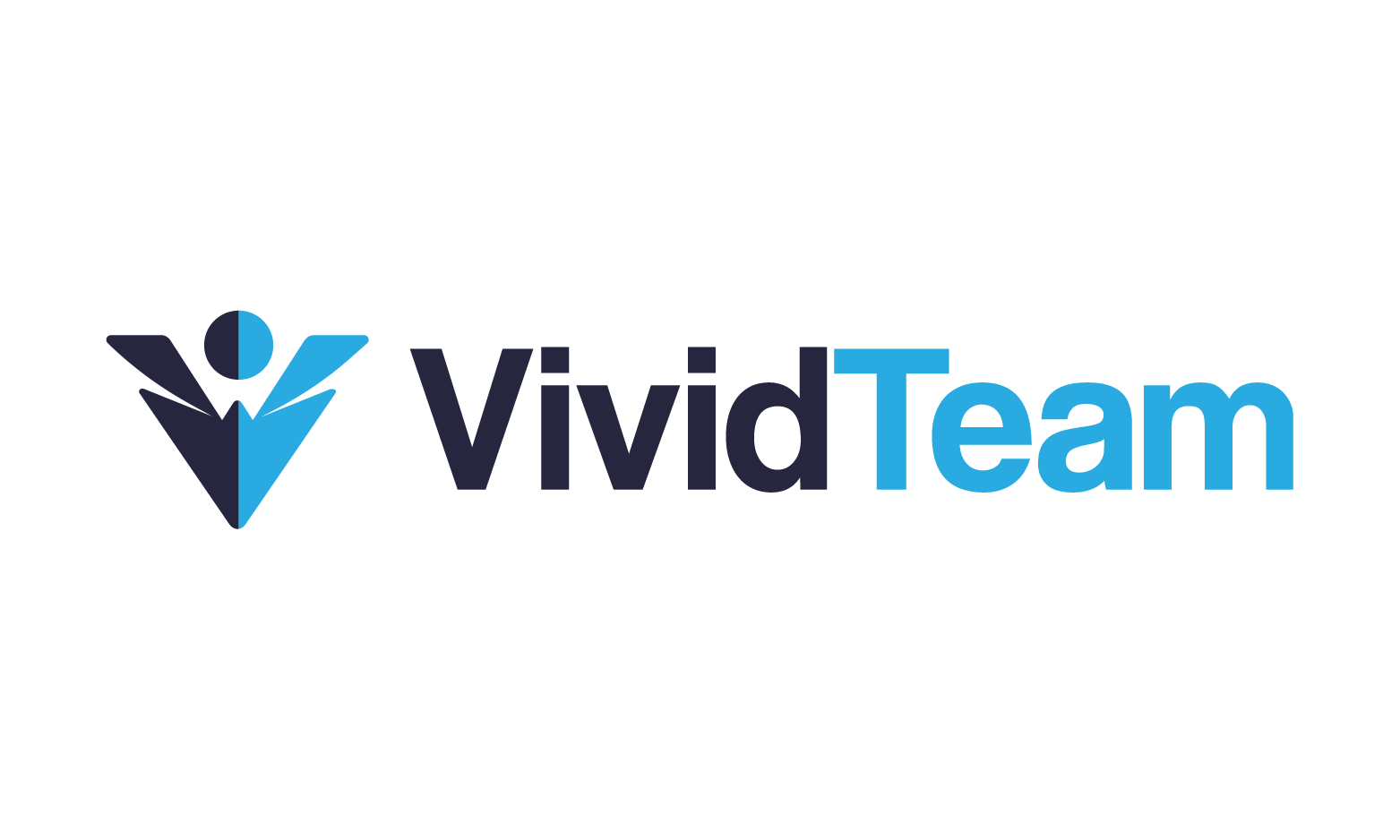 VividTeam logo