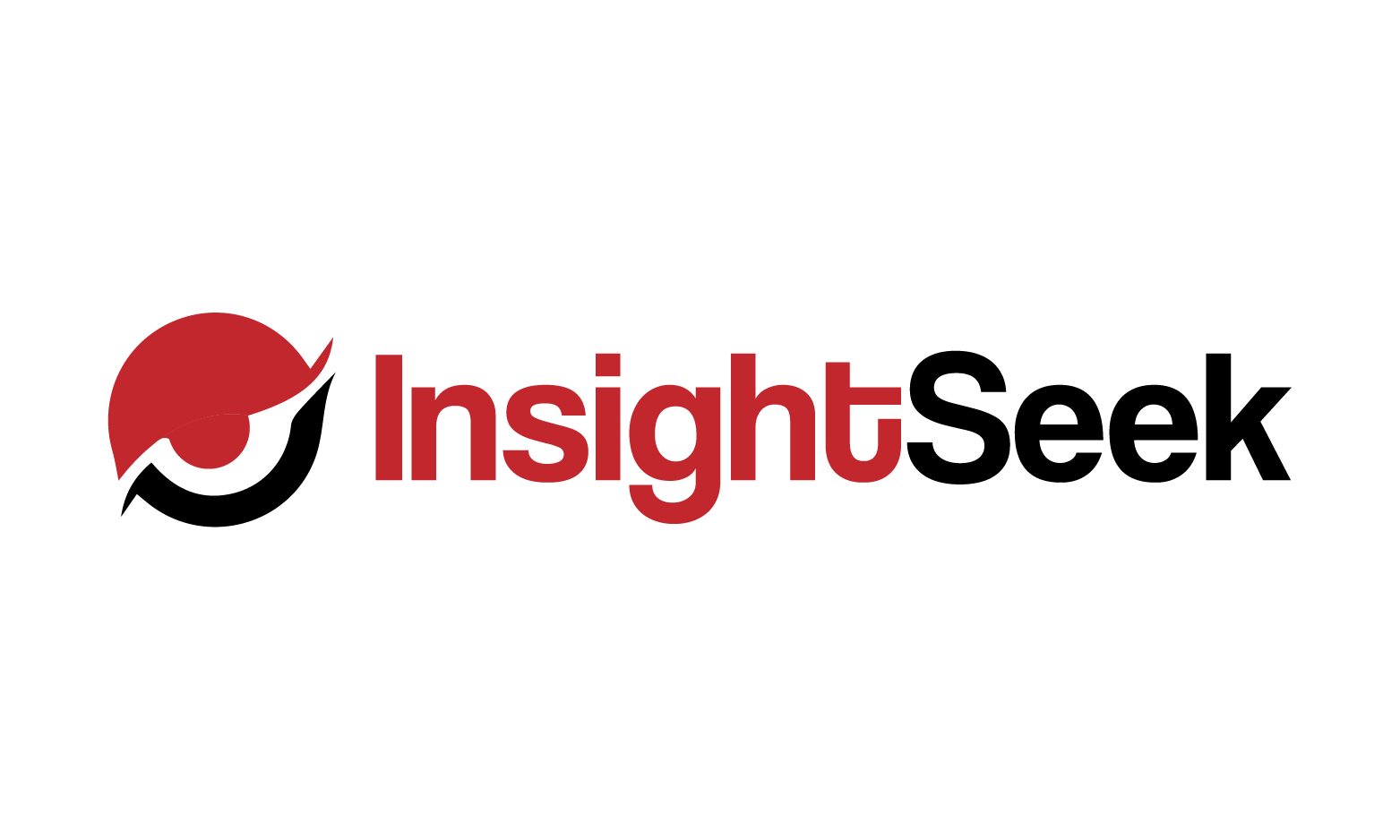 InsightSeek logo