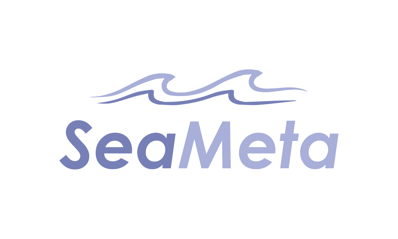 SeaMeta.com - Cool premium domain names