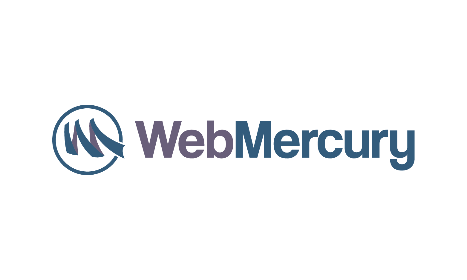 WebMercury logo