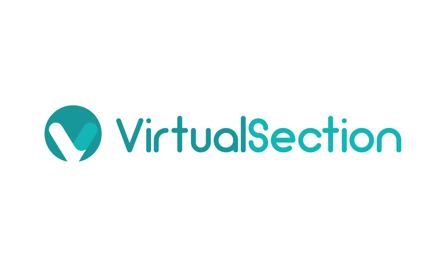 VirtualSection.com - Catchy premium names