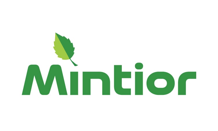 Mintior.com - Cool premium domains for sale