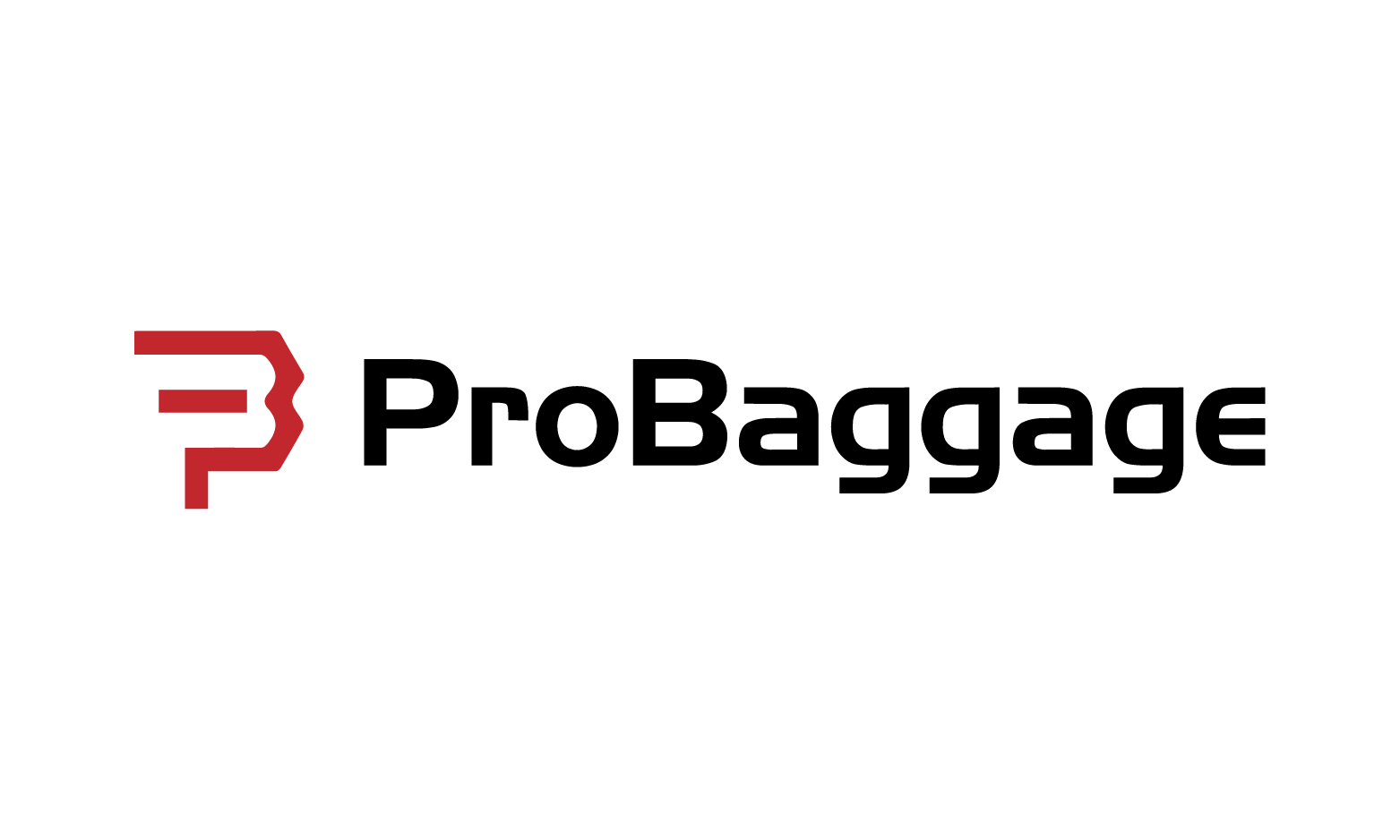 ProBaggage logo