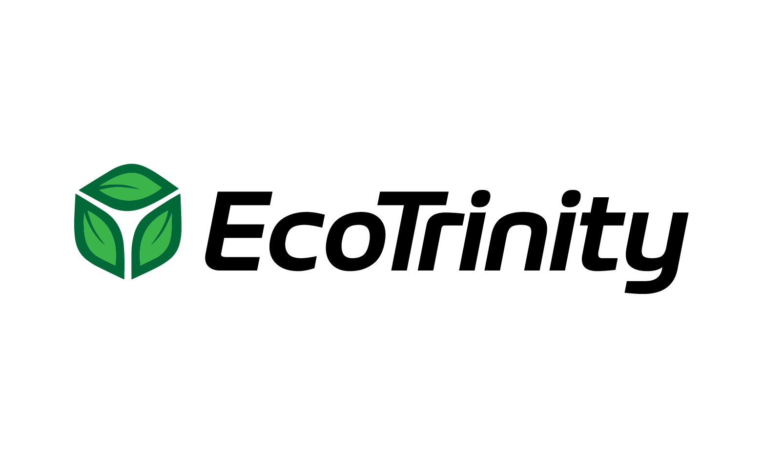 EcoTrinity logo