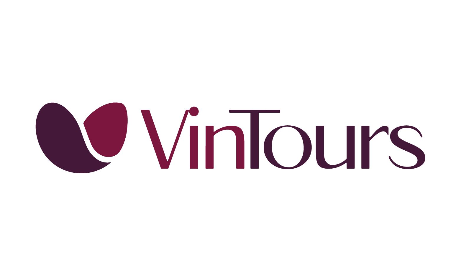 VinTours logo