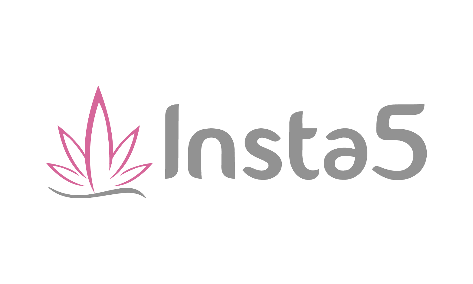 Insta5 logo
