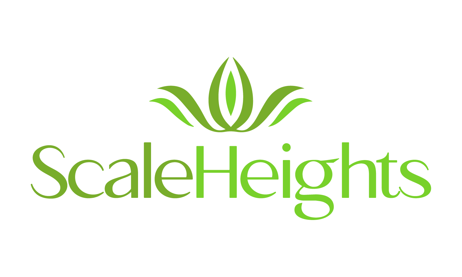 ScaleHeights.com - New premium domain names for sale