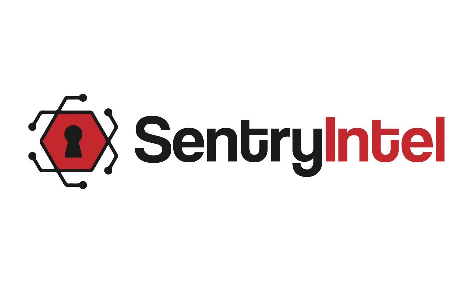 SentryIntel.com - buying Catchy premium names