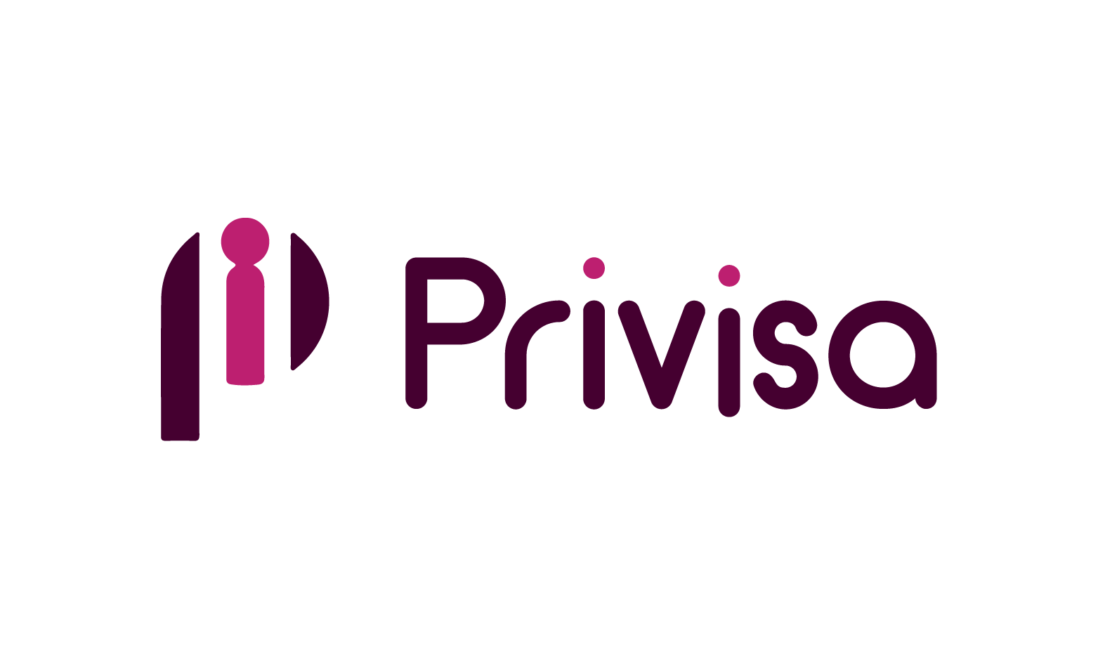 Privisa logo