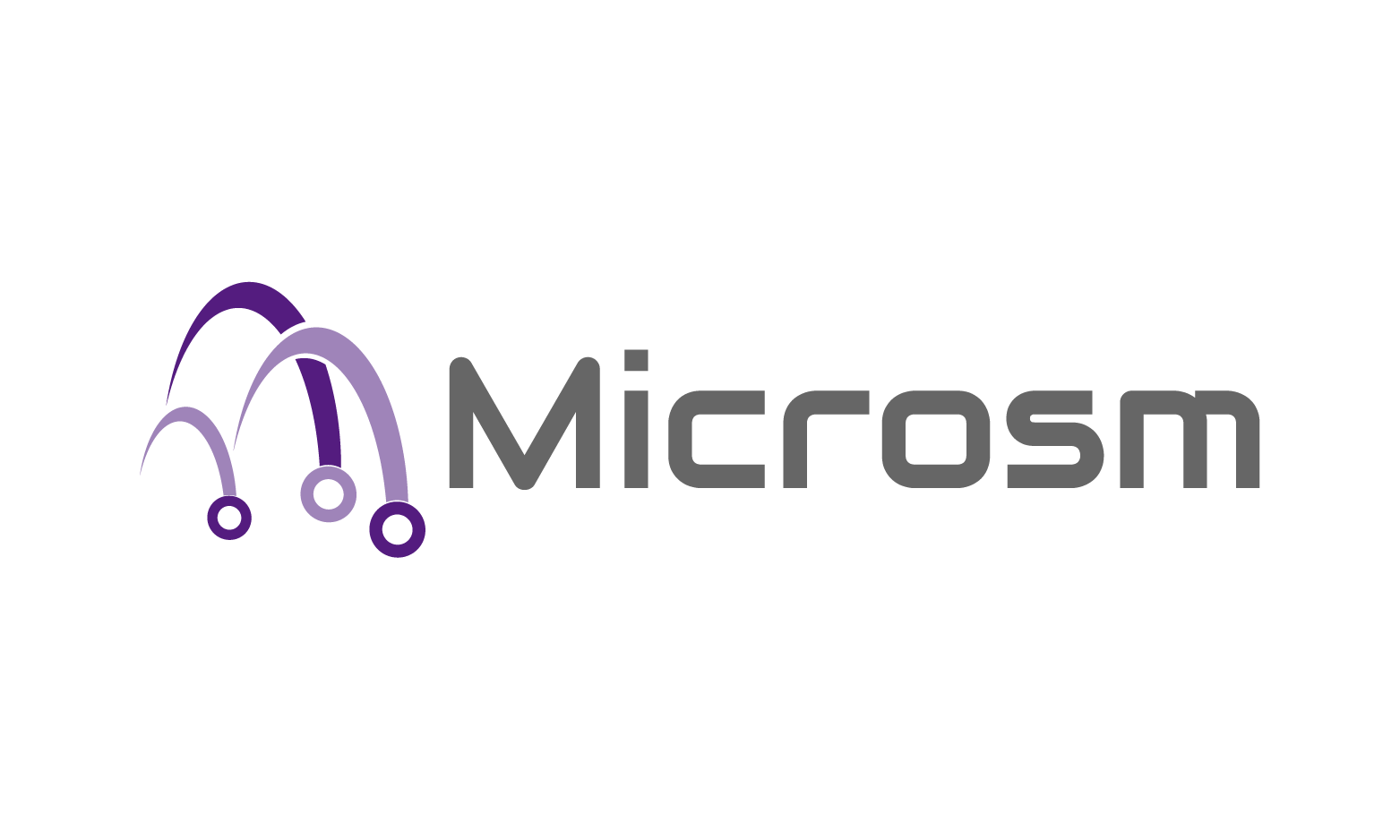 Microsm logo