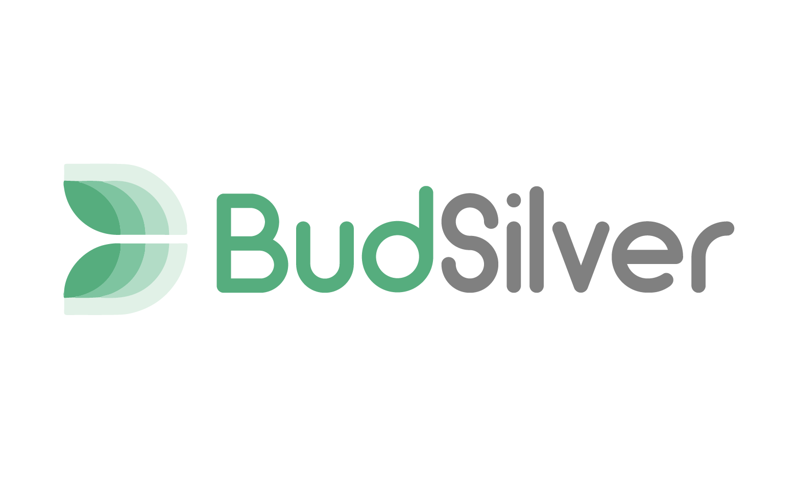 BudSilver.com - Creative premium domains