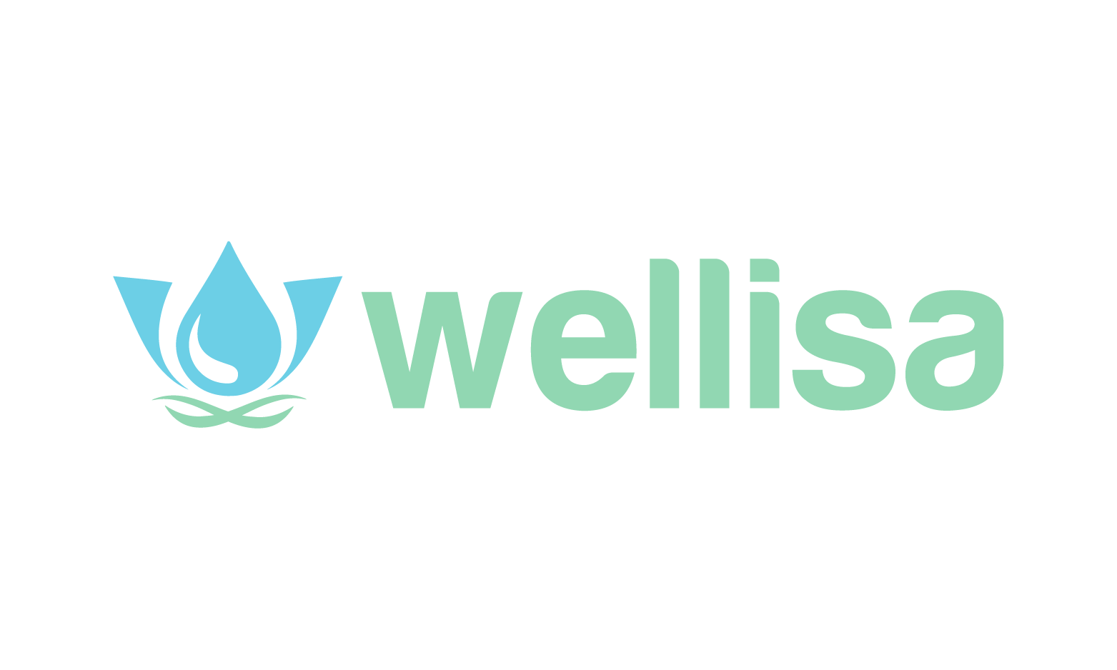 Wellisa logo