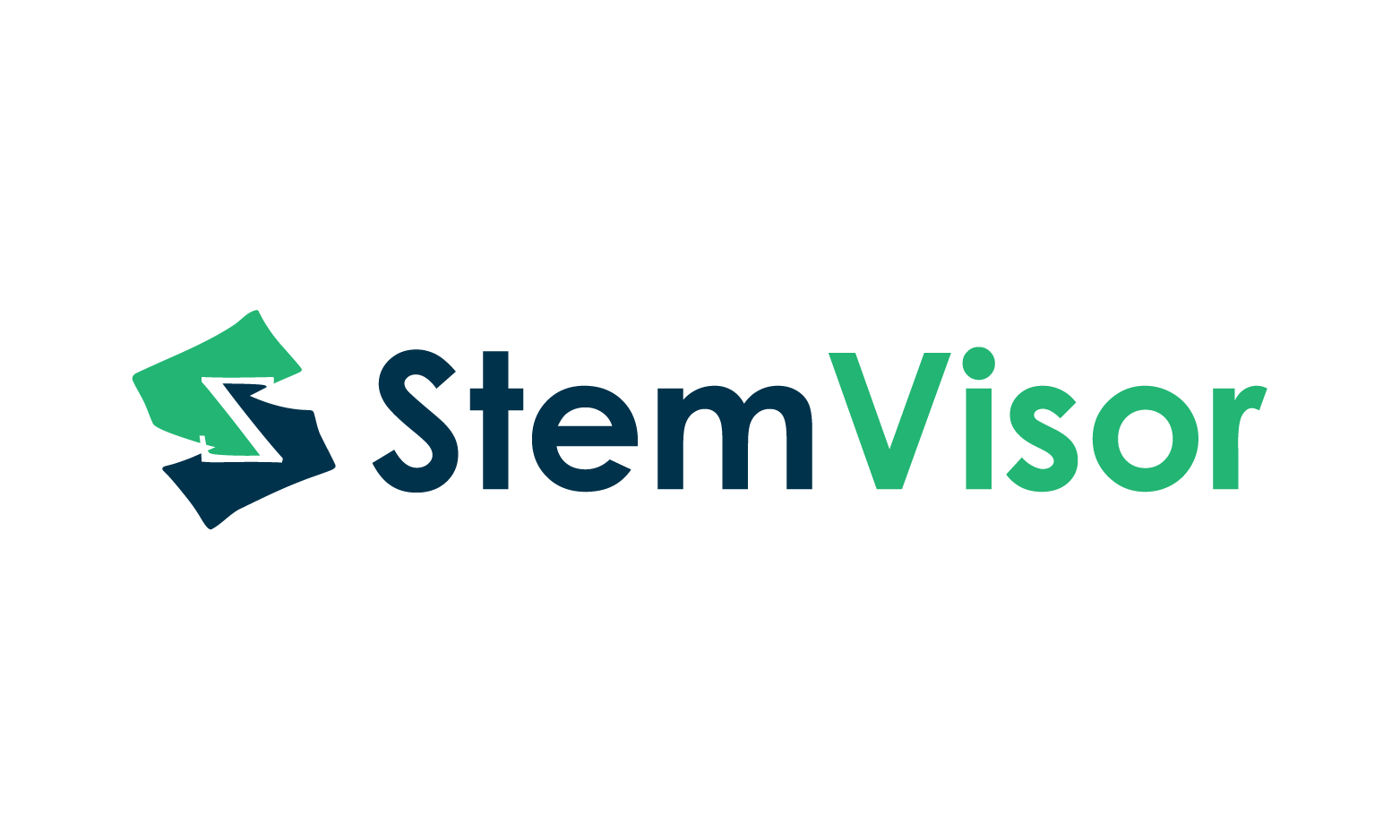 StemVisor.com - buy Best premium domains