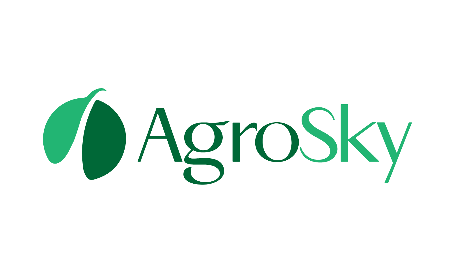 AgroSky.com - Great premium domains for sale