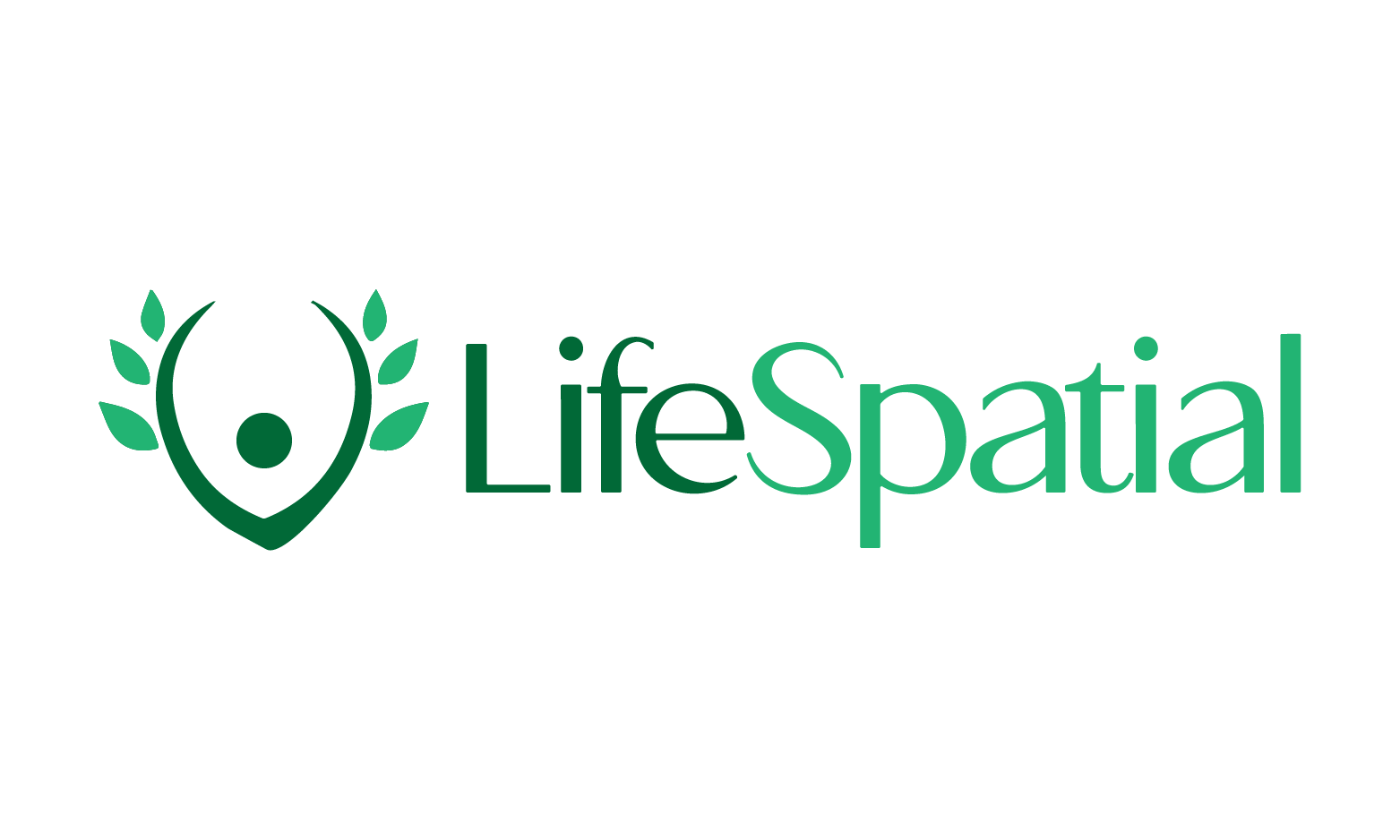 LifeSpatial.com - Unique premium domain names for sale