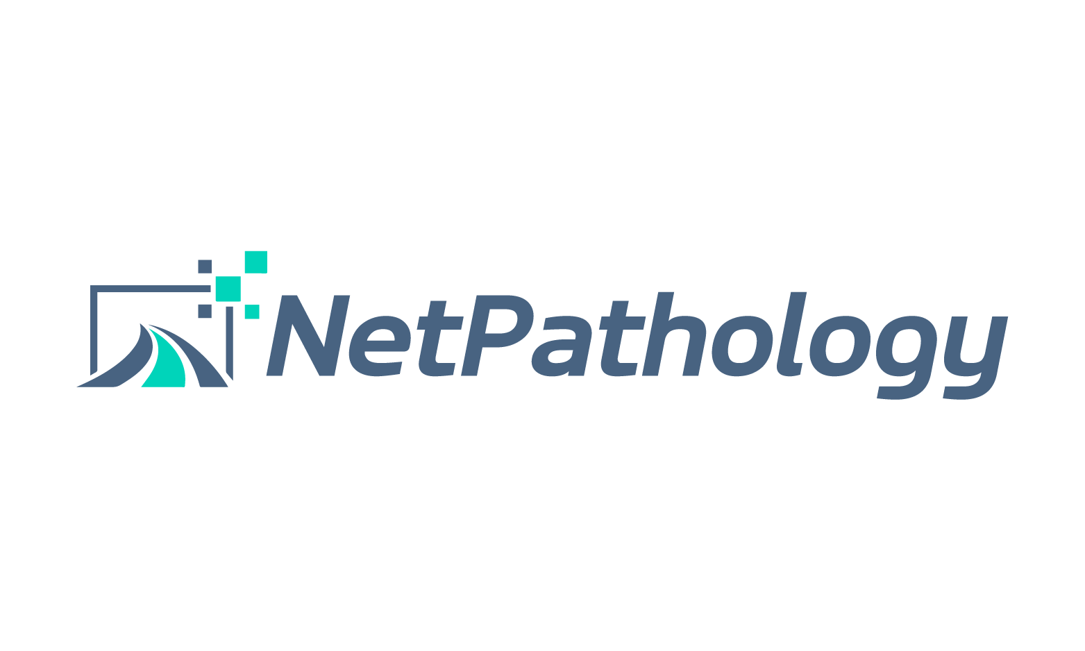 NetPathology.com - Unique premium domain marketplace