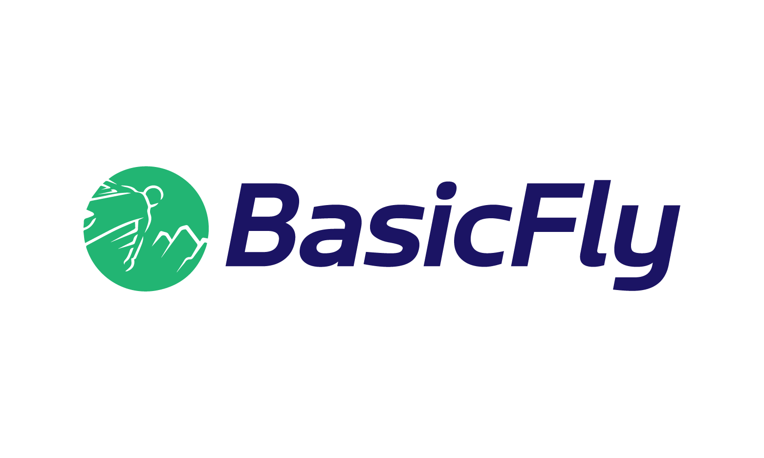 BasicFly.com - Catchy premium names