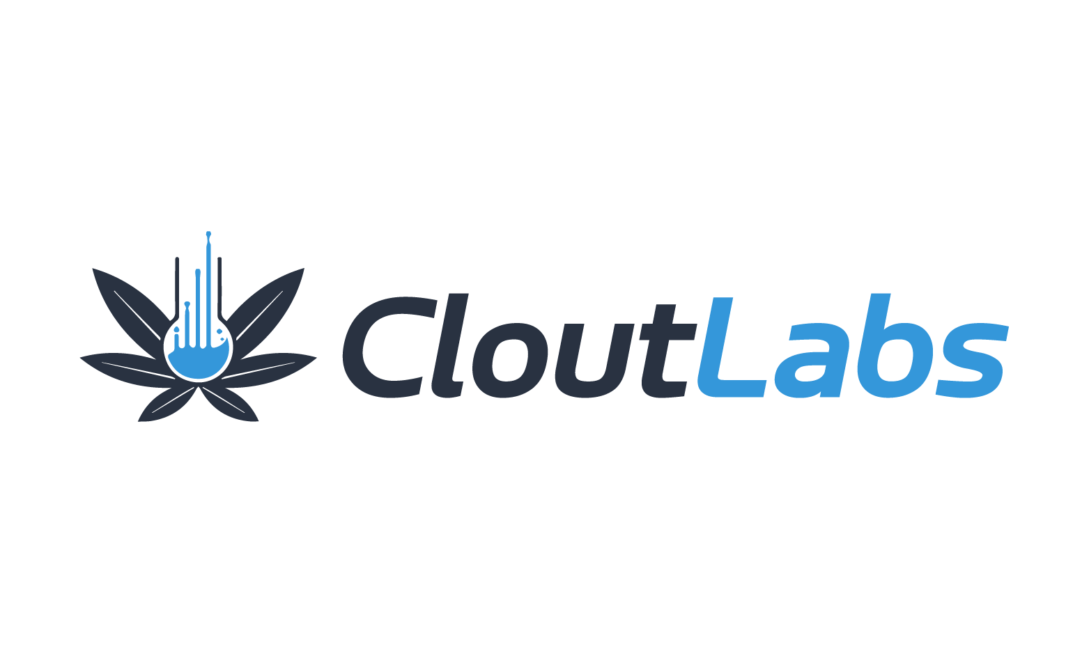 CloutLabs.com - buying Good premium names