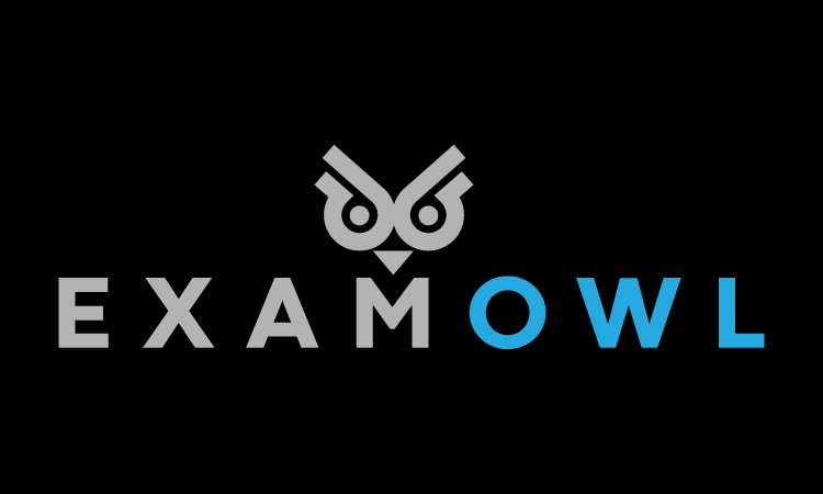 ExamOwl logo