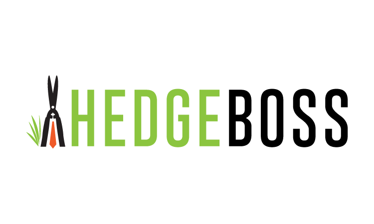 HedgeBoss.com - buy Best premium domains