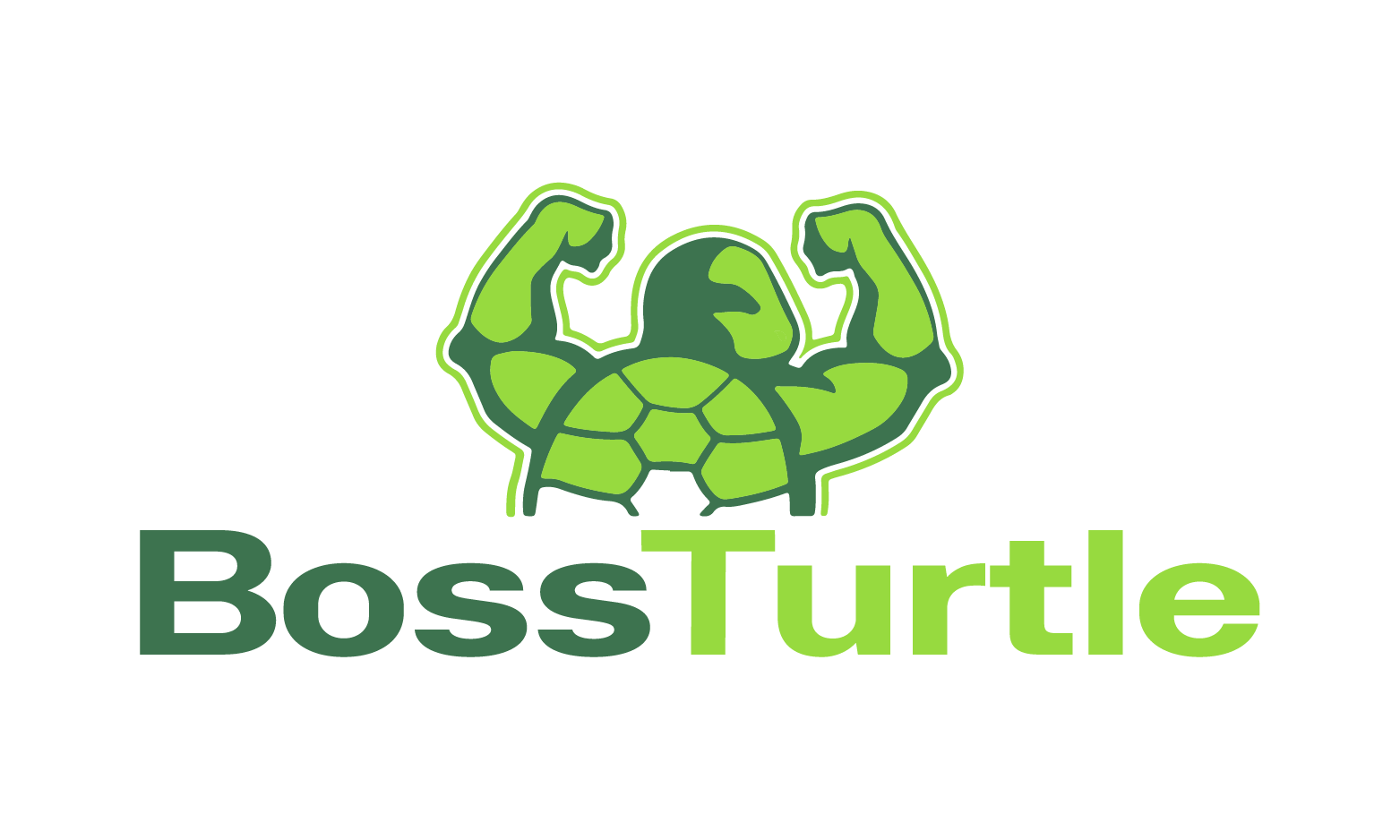 BossTurtle.com - New premium domain marketplace