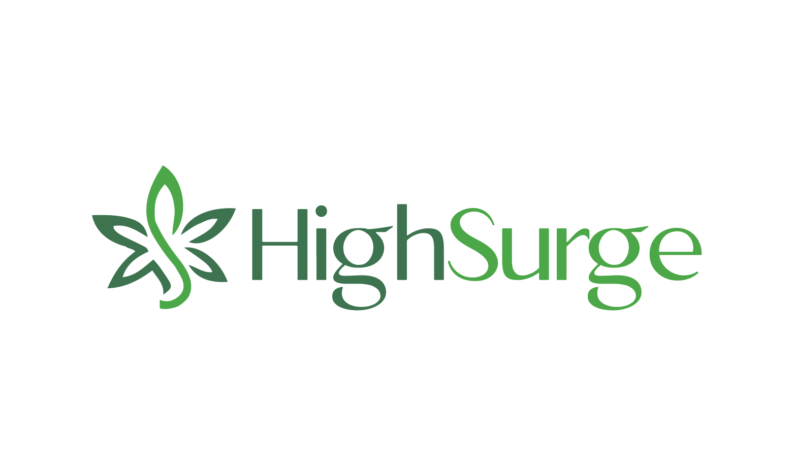 HighSurge logo