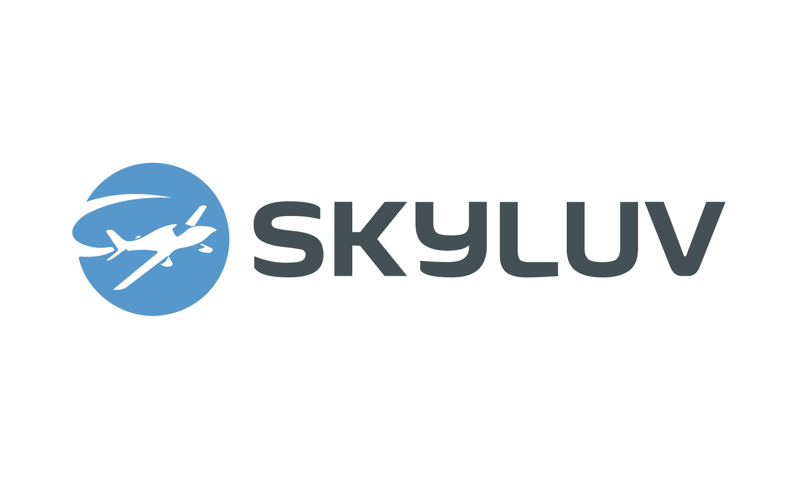 Skyluv logo
