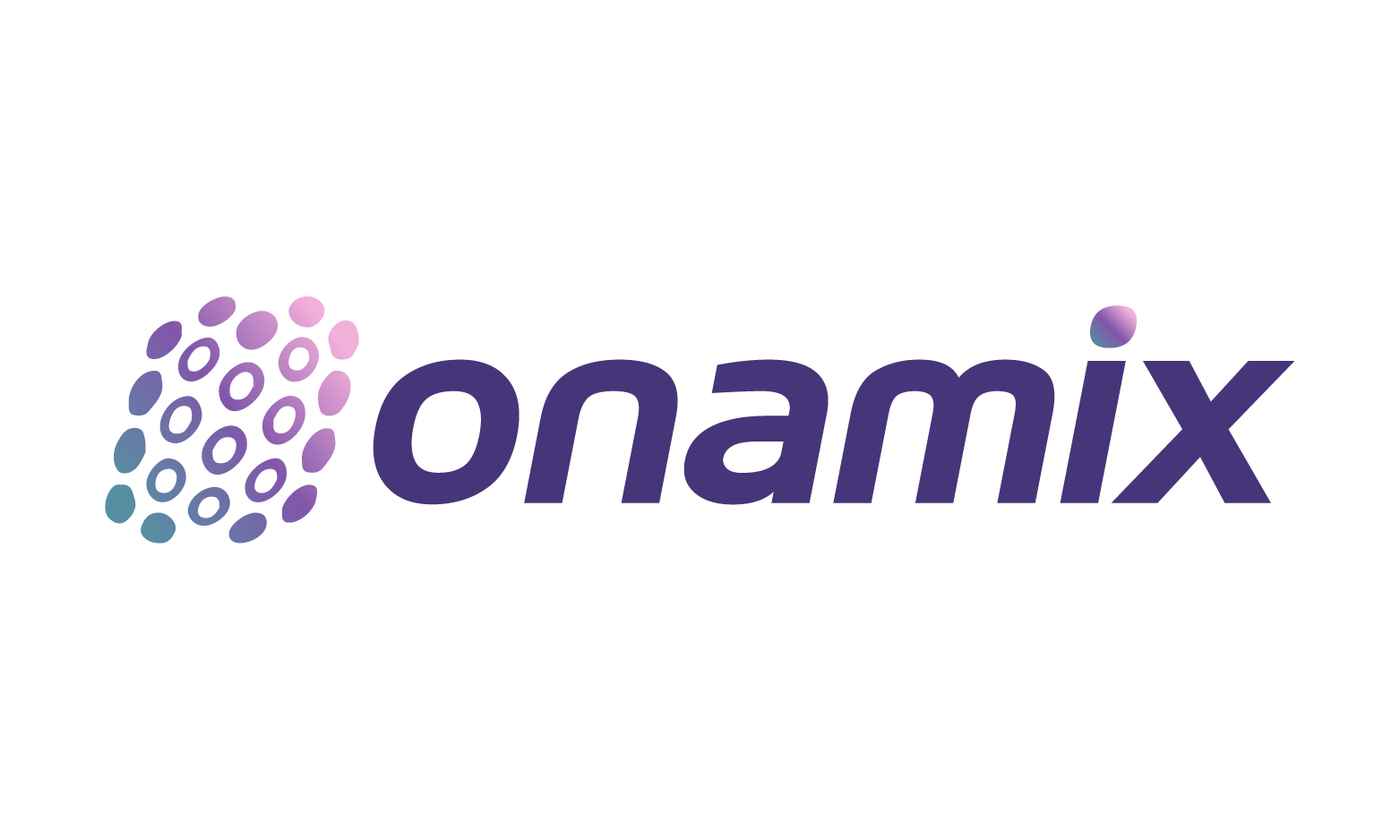 Onamix logo