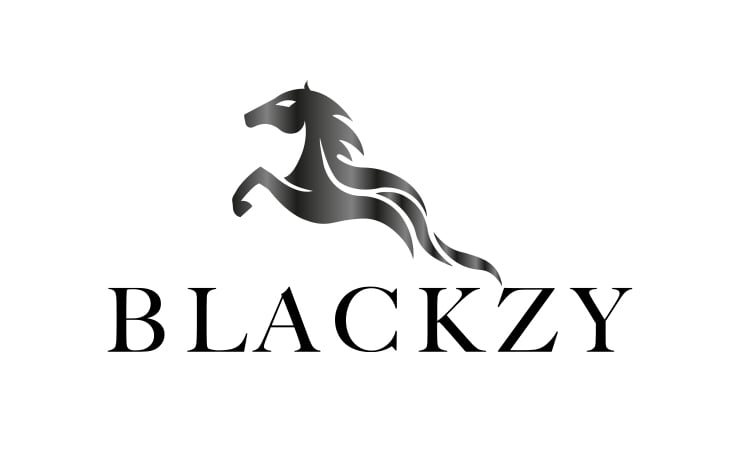 Blackzy.com - buying Catchy premium names
