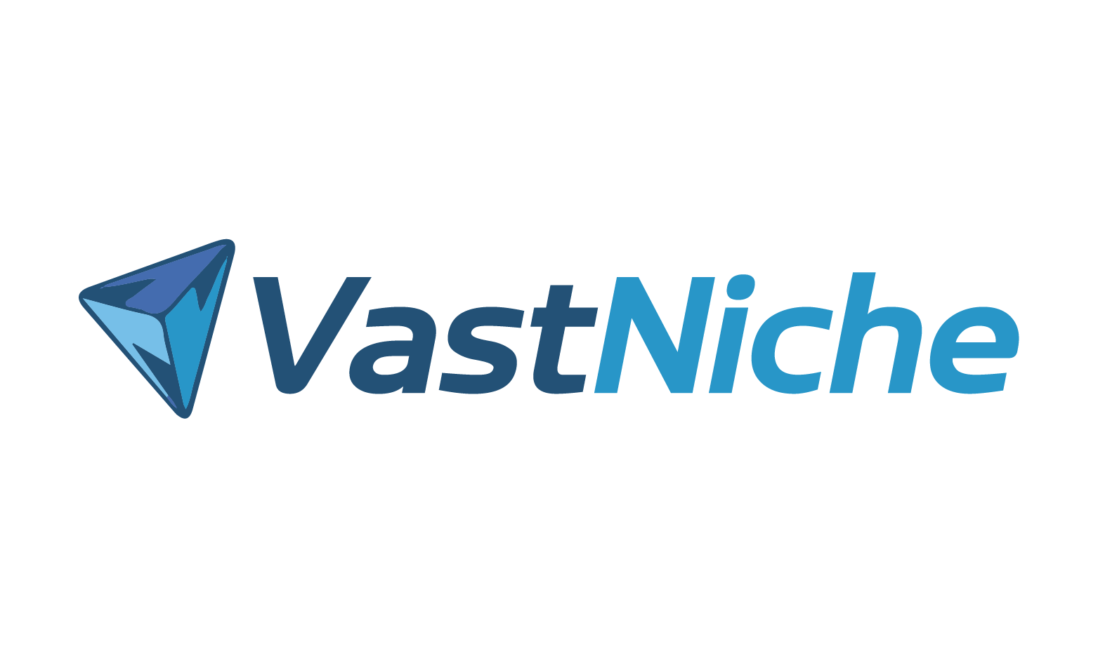 VastNiche.com - buying Cool premium names