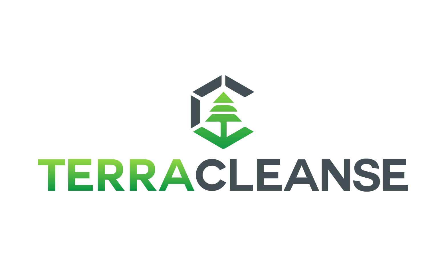 TerraCleanse.com - Good premium domain marketplace