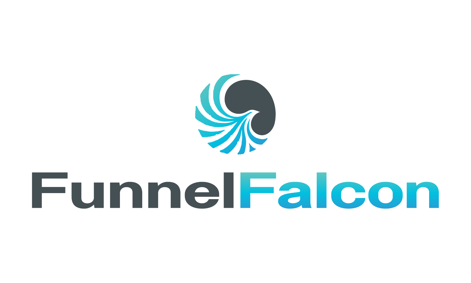 FunnelFalcon.com - Creative premium domains for sale