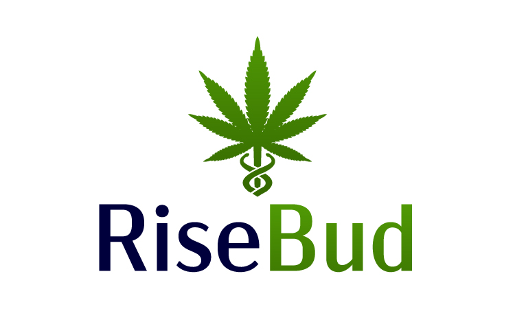 RiseBud.com - buying New premium names