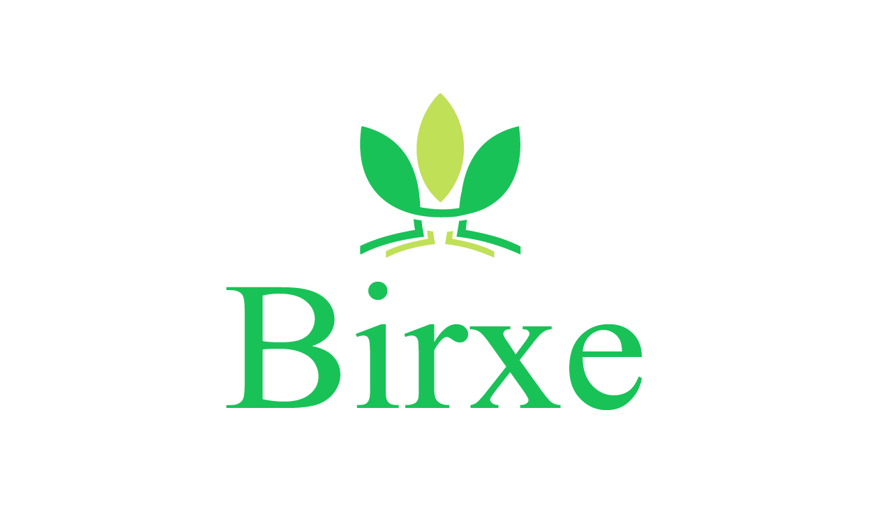 Birxe.com - buy Great premium domains